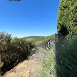 Coppa Di Sopra - Beautiful With Superb View Villa *
