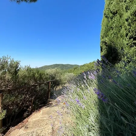 Coppa Di Sopra - Beautiful With Superb View Βίλα *