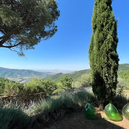 Coppa Di Sopra - Beautiful With Superb View