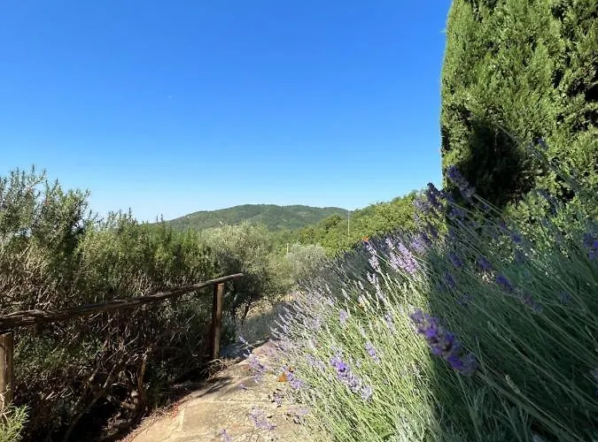 Coppa Di Sopra - Beautiful With Superb View Βίλα *